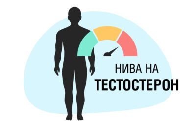 ТЕСТОСТЕРОНЪТ НЕ Е ТОЛКОВА ВАЖЕН