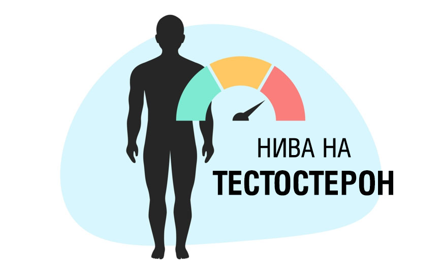 ТЕСТОСТЕРОНЪТ НЕ Е ТОЛКОВА ВАЖЕН