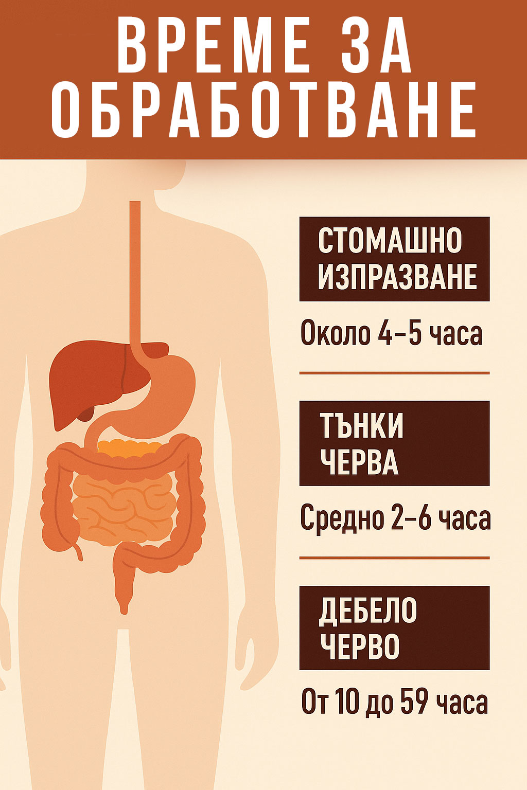 ХРАНАТА